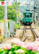 Kinh nghiệm du lịch Nhật Bản